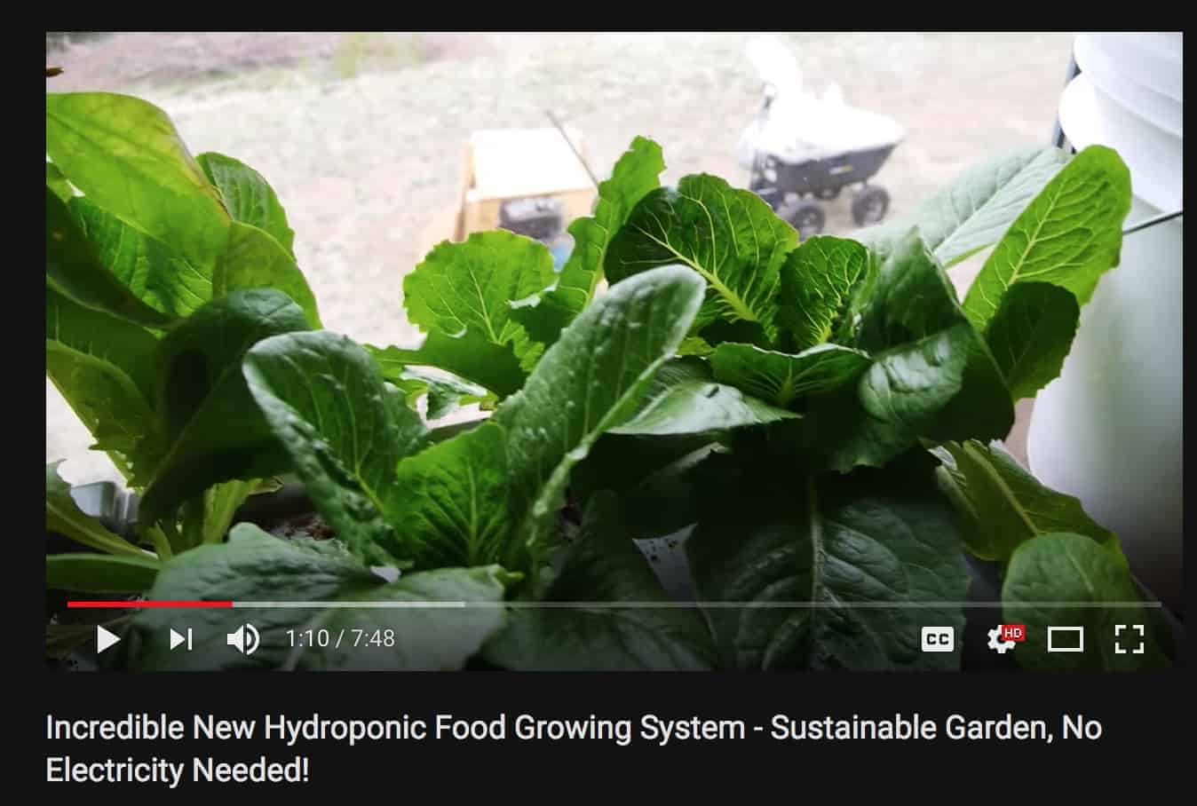 hydroponic pic 5
