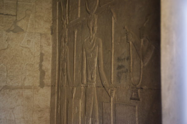 IMGP3882