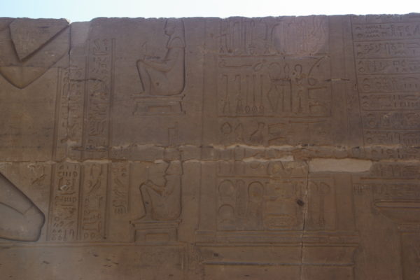 IMGP3877