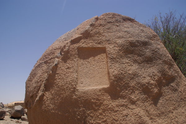 IMGP3869