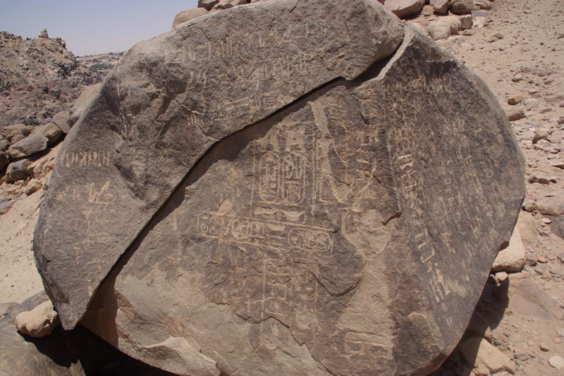 IMGP3847