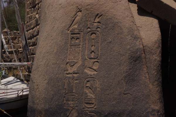 IMGP3788