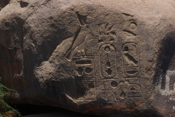 IMGP3783