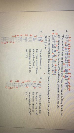 WhatsApp Image 2022-03-31 at 3.53.54 PM