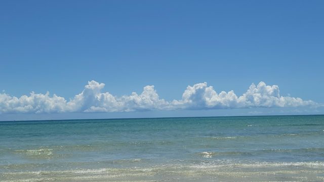 signal-2022-03-26-16-02-18-700-2