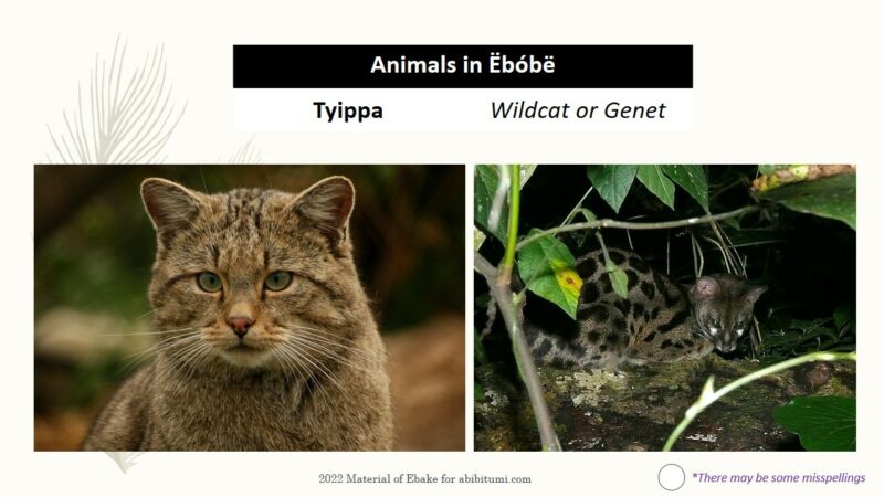 2022_03_19_Wildcat genet