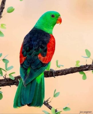 AB40D948-8F0D-4257-B0FD-0CF13217C233