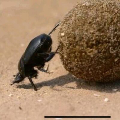 2B2108DE-706B-47BC-B279-F1E8128DC495