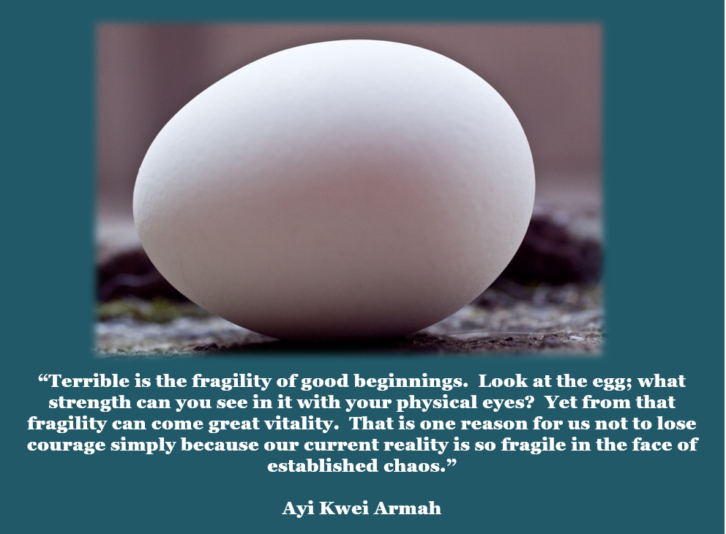 Armah fragile beginnings