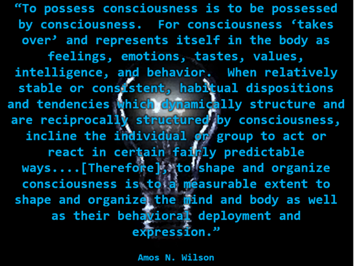 Wilson consciousness
