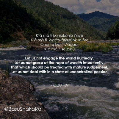 mature judgement copy