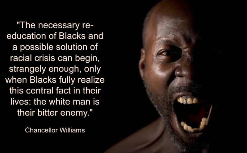 Williams bitter enemy realization