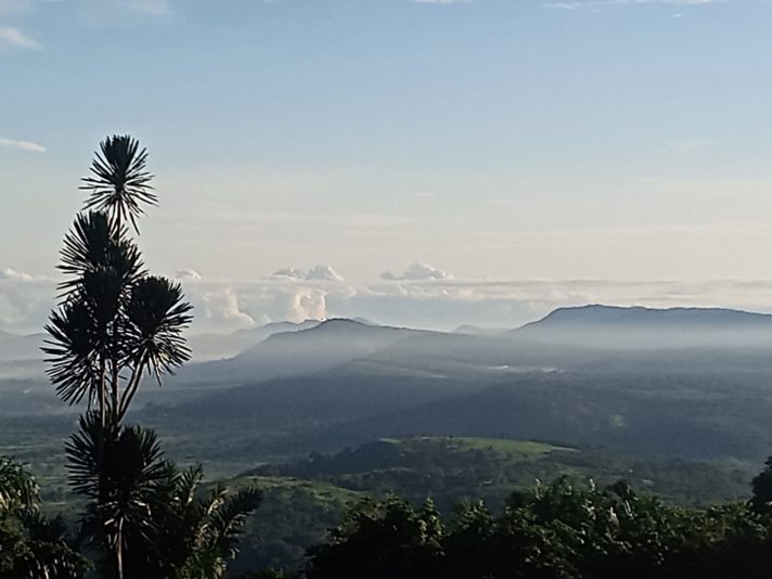 cp76dhnltvmh20l4114c-scaled