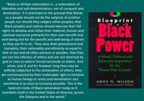 Wilson nationalism Afrikan