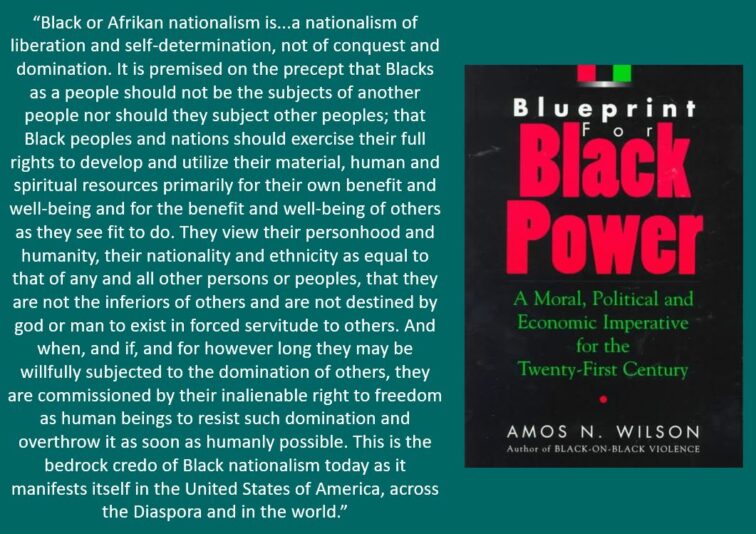 Wilson nationalism Afrikan