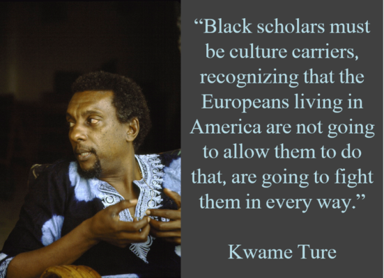 Ture culture carriers