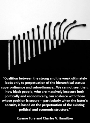 Ture and Hamilton racial coalitions