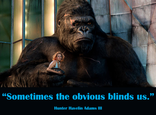 Adams blinded by the obvious