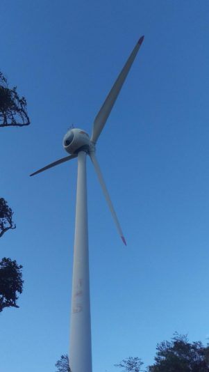 signal-2022-07-22-191009_005