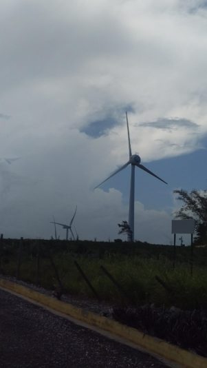 signal-2022-07-22-191009_004