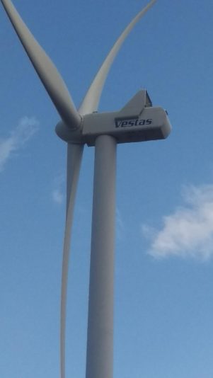 signal-2022-07-22-191009_002