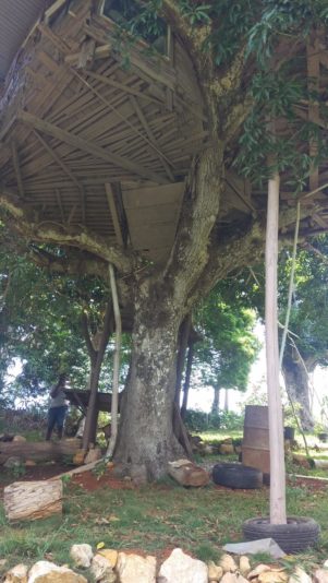 signal-2022-07-22-190100_008