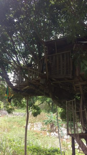 signal-2022-07-22-190100_007