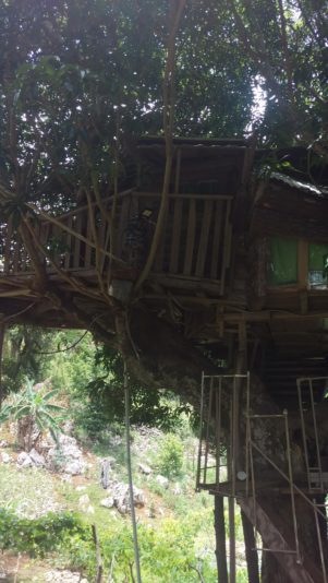 signal-2022-07-22-190100_006