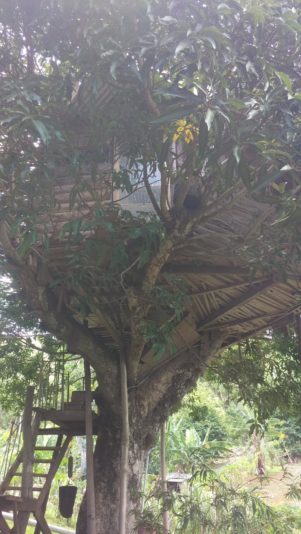 signal-2022-07-22-190100_002