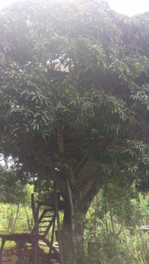 signal-2022-07-22-190100_003