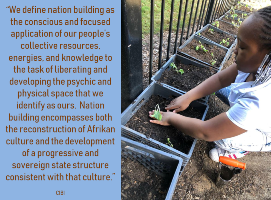 CIBI nationbuilding definition