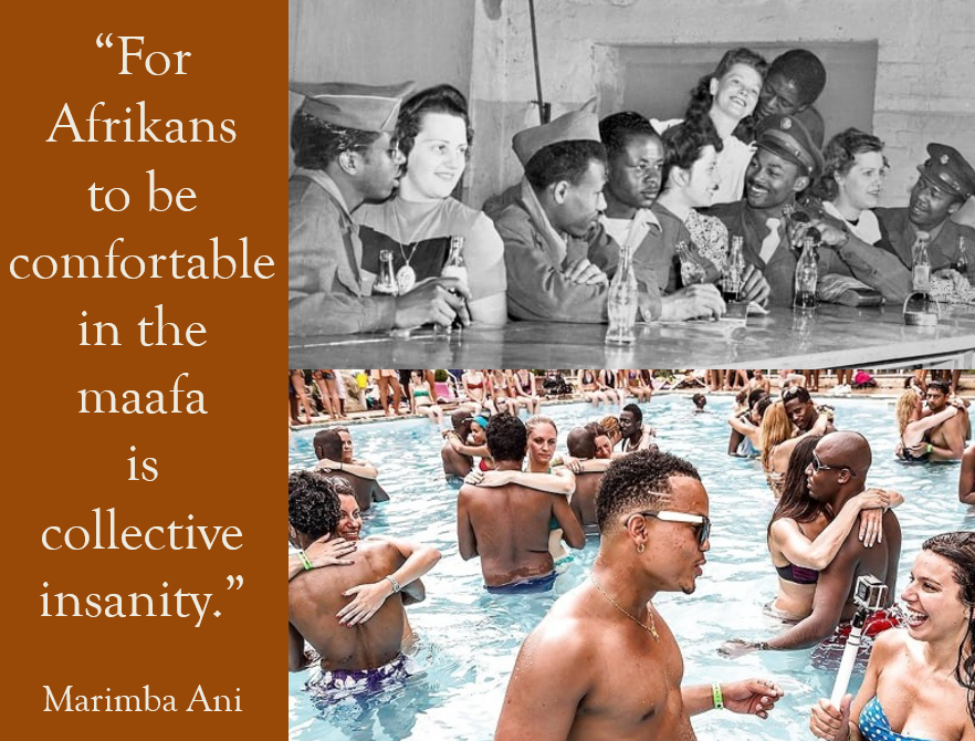 Ani collective comfort