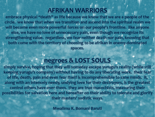warriors and negroes