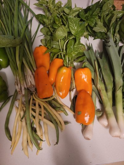 16604862717787070928391969394406