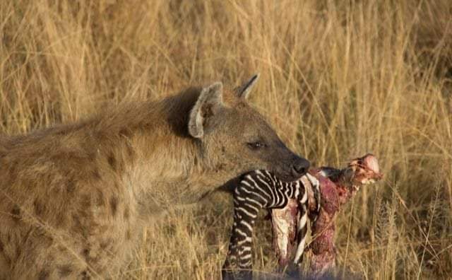 IMG_20220929_073841_941