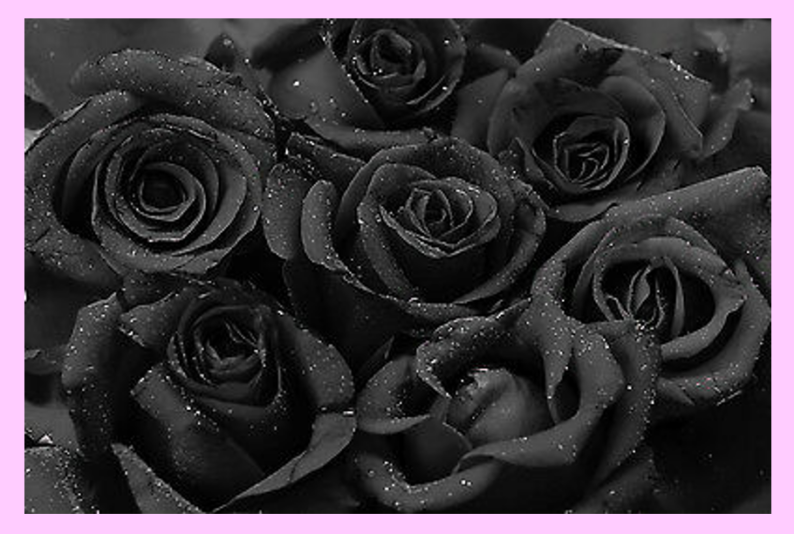 Yaa 61st statement roses