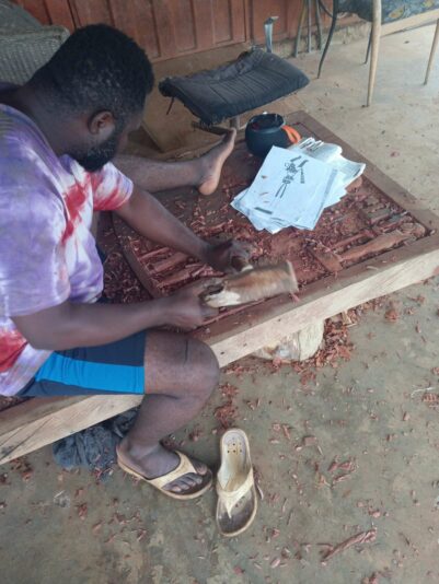 6e12e8c7-dac5-4f8d-ac50-24c43c69c44d