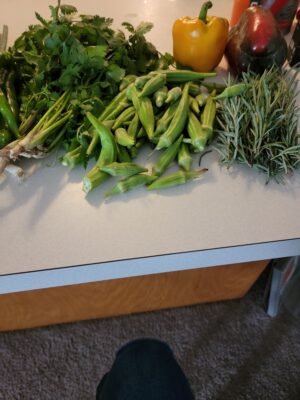 16629149078362434820557228667611