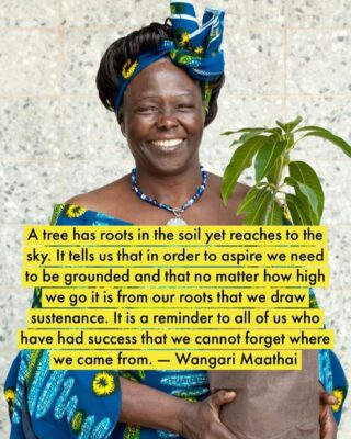 235A9F13-3F4B-4D5B-8755-DA73C5DC9EC2