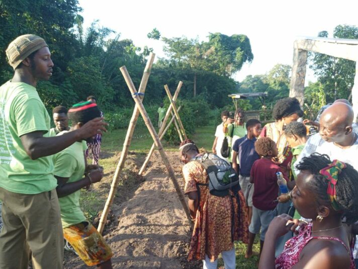 3c02b1f9-0c18-4c36-b808-5b5b417123db