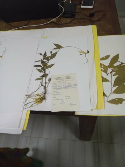 b86f3c75-3e96-4fd9-8a69-c0adafc4a80a