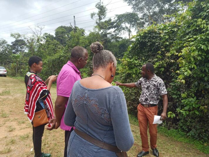 8cb07feb-4ee8-49fc-935e-1f6341cab27c