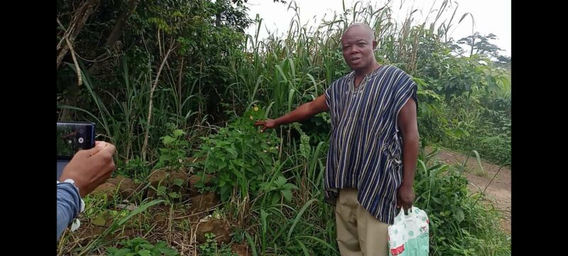 733f2b3d-dbf4-43d2-8831-258b9e60ac7b