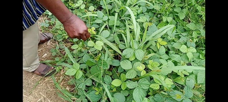 d595f557-4354-43f7-b714-8ac4f5b7ad95