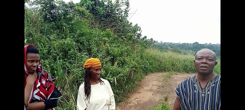 2adeaf68-7292-48b6-9fa3-913488c7bb32