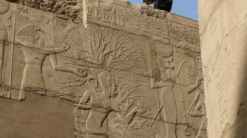 c8bb9a8c-566d-4c52-b3ac-dc89fe4149f3