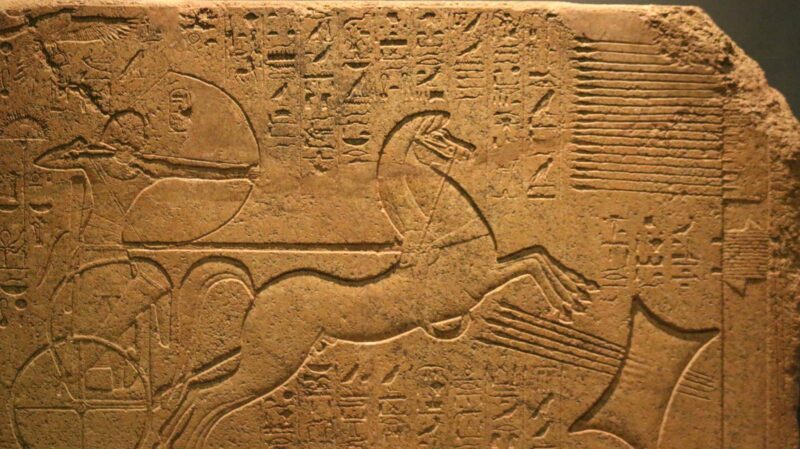 5c6fb680-4ede-4151-bc83-3bcf60c7c0fa