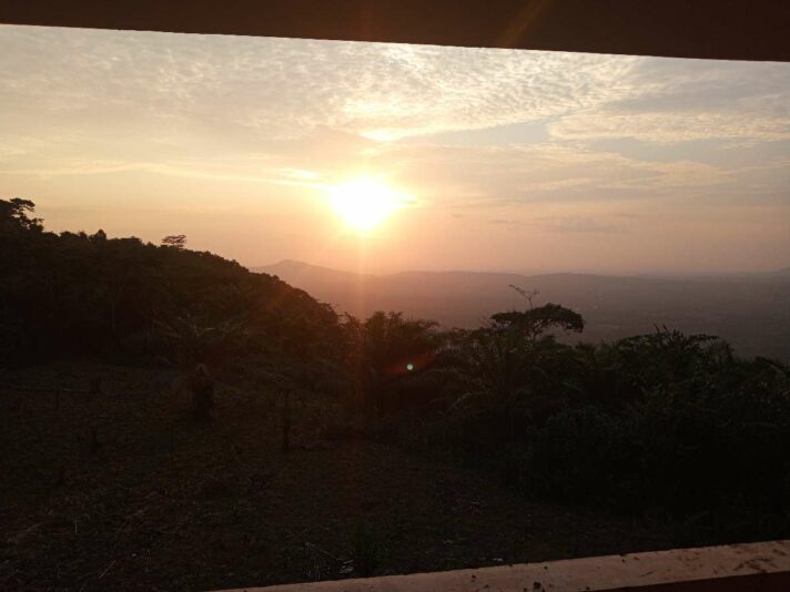 03c464ce-9246-4a63-b640-63e97290bc62