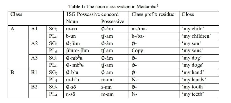 screenshot-lingpapers.sites.olt.ubc.ca-2022.11.20-23_31_04