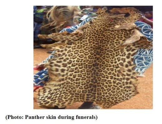 screenshot-www.ephjournal.org-2022.11.18-22_40_48